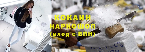 прущие грибы Надым