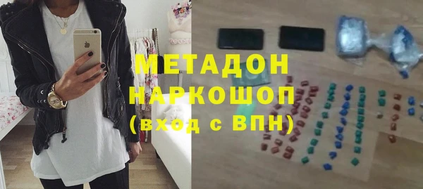 прущие грибы Надым