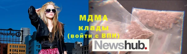 прущие грибы Надым