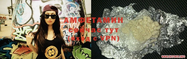 прущие грибы Надым