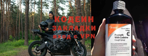 прущие грибы Надым