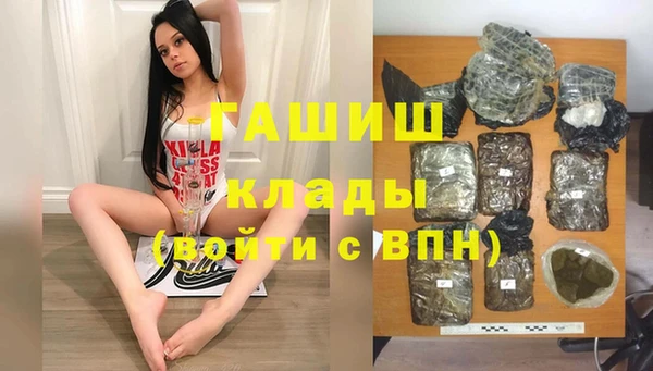 прущие грибы Надым