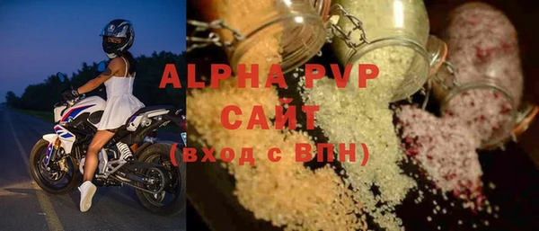 прущие грибы Надым