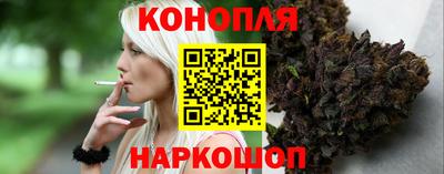 мдпв Камышлов