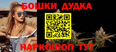 мдпв Камышлов