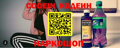 мдпв Камышлов