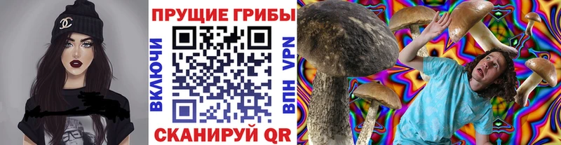 Галлюциногенные грибы мухоморы  закладка  Ступино 