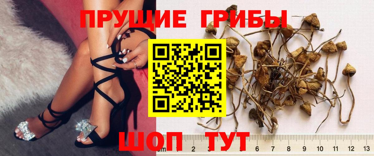 Псилоцибиновые грибы мухоморы  Вход с VPN  Псилоцибиновые грибы ЛСД  Ступино 