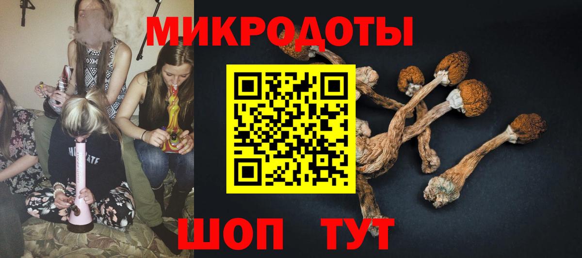 Галлюциногенные грибы мицелий  закладки  Псилоцибиновые грибы Psilocybe  Ступино 